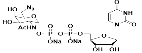 UDP-6-N3-GalNAc有什么用