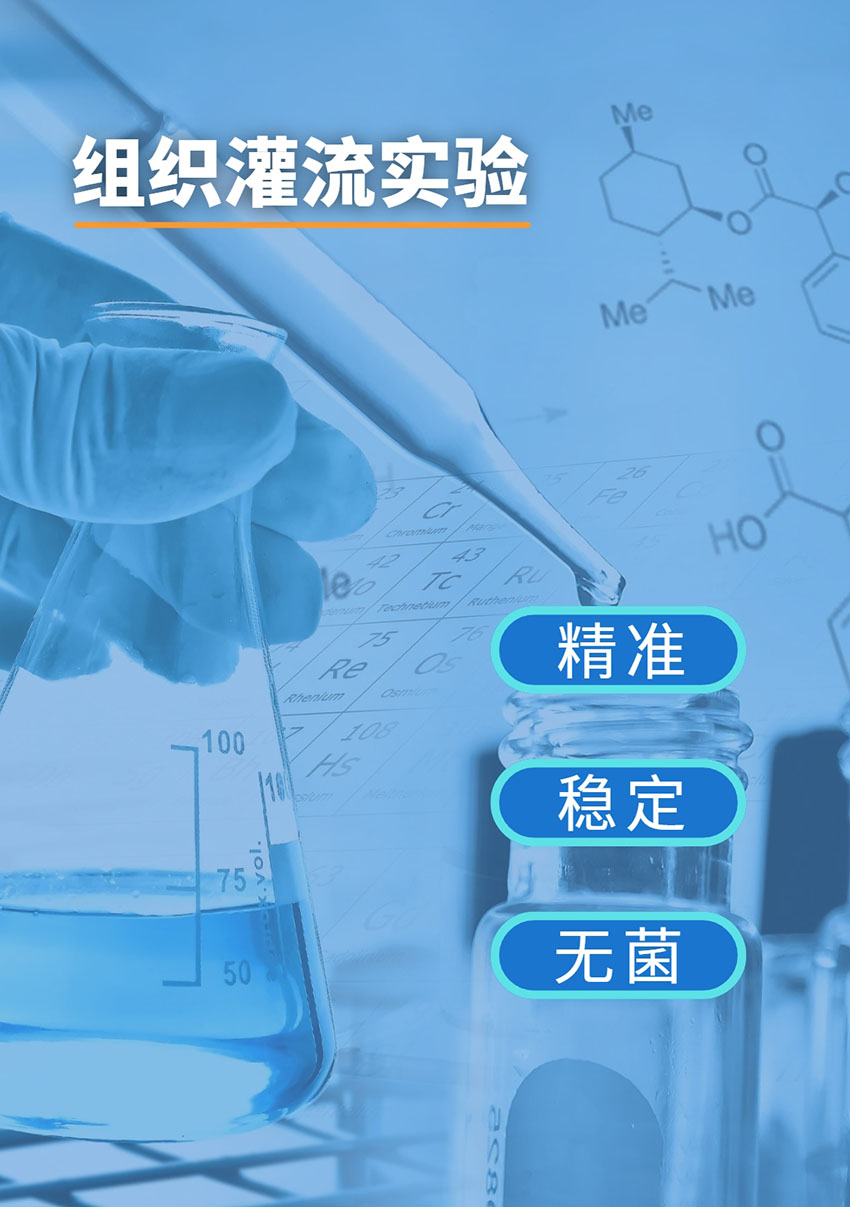 應用 | 蘭格蠕動泵為組織灌流實驗提供無菌、可控的培養液輸送