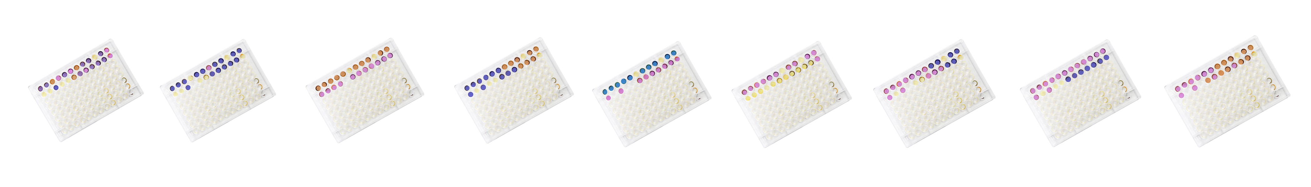 配套試劑板.jpg 配套試劑板.jpg