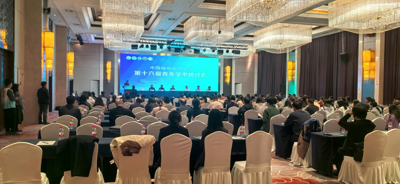 麥克奧迪光學(xué)亮相中國植物病理學(xué)會第十六屆青年學(xué)術(shù)研討會