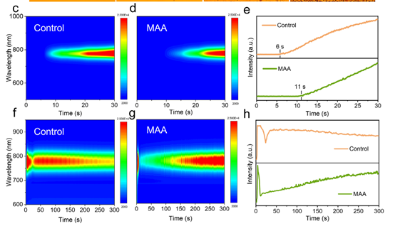 華中科大陳煒： MAA創(chuàng)新策略突破大面積鈣鈦礦25.52%