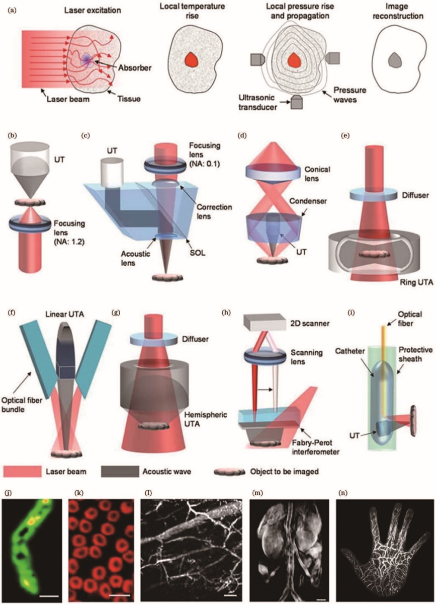 突破高分辨率光學(xué)技術(shù)穿透深度限制