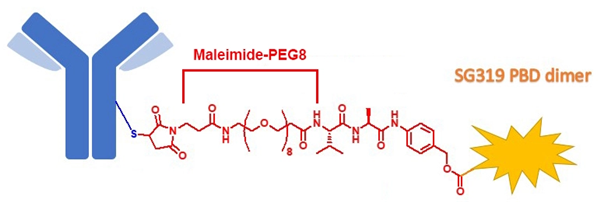 BroadPharm现货常卖PEG接头选择指南