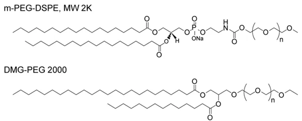 BroadPharm现货常卖PEG接头选择指南