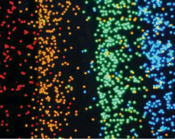 image.png 賽默飛世爾Thermo Fisher微粒微球 產品介紹