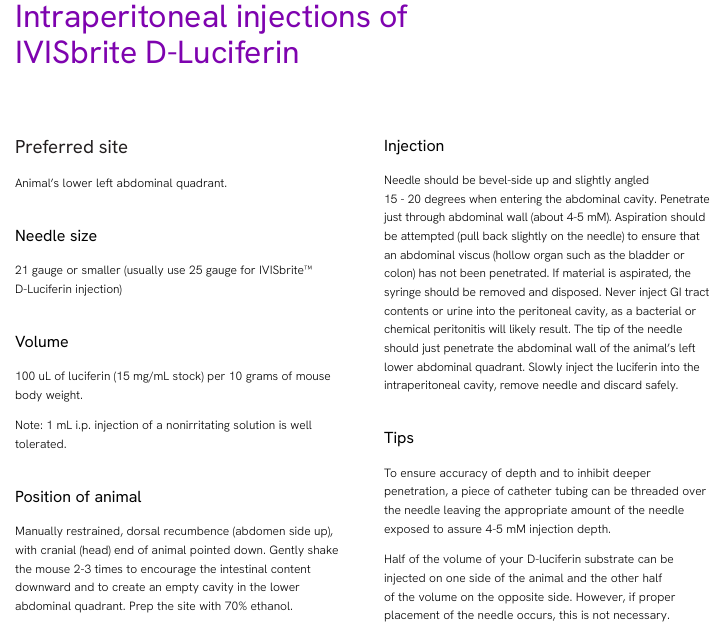 活体成像荧光素酶-底物系统原理PerkinElemer/Revvity品牌
