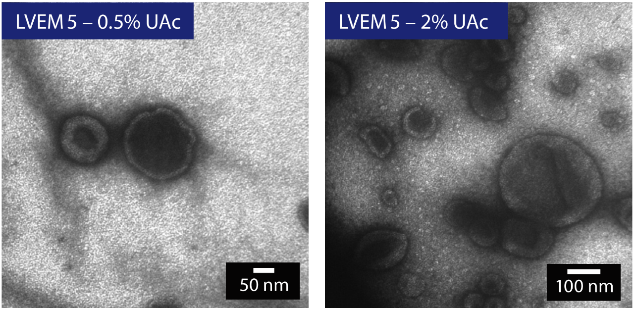 0 成本測樣！生物型透射電鏡破解納米藥物成像痛點，50 個免費名額速搶