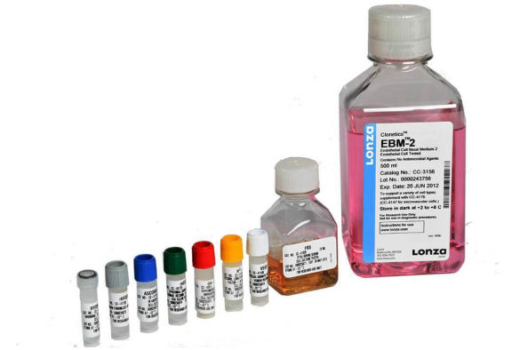 image.png LONZA原代人肺微血管內皮細胞HMVEC-L 產品介紹