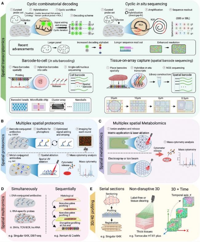 空间生物学，临床应用未来