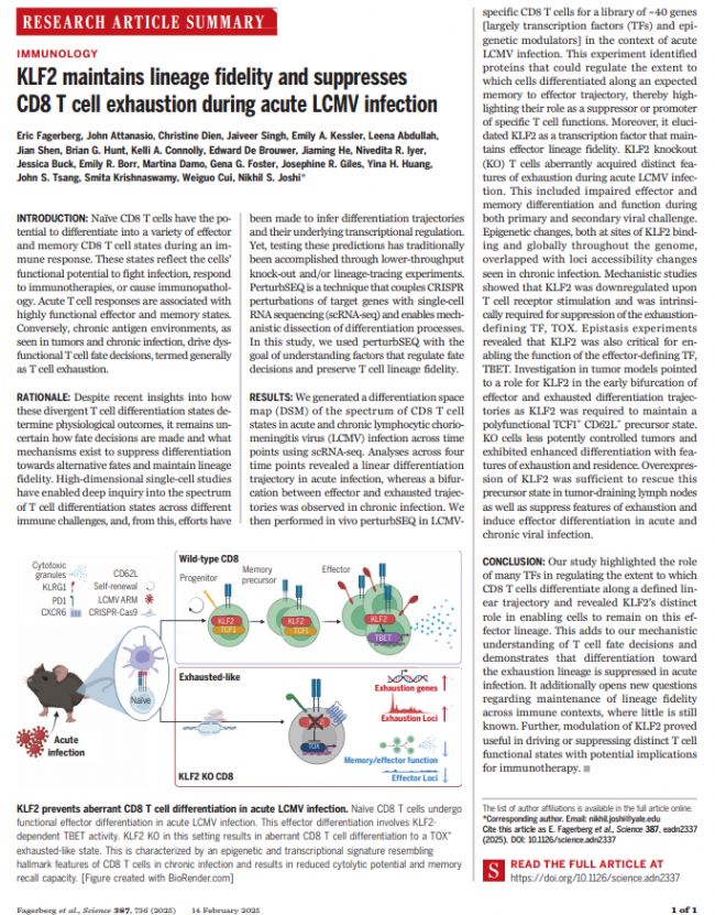 空间生物学，临床应用未来