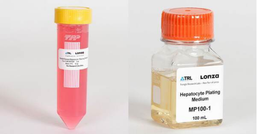 Lonza人原代肝脏细胞、肝脏非实质细胞Human Hepatocytes产品介绍