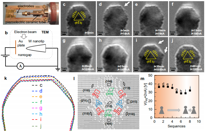Nature子刊 | 揭示金属纳米结构中电场驱动的变形动力学机制