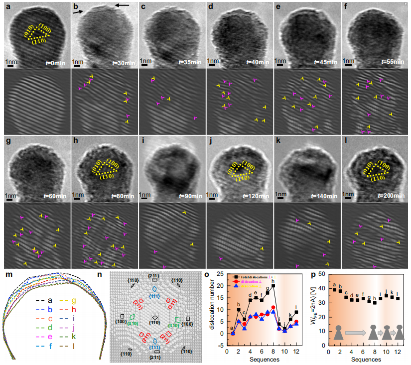 Nature子刊 | 揭示金属纳米结构中电场驱动的变形动力学机制