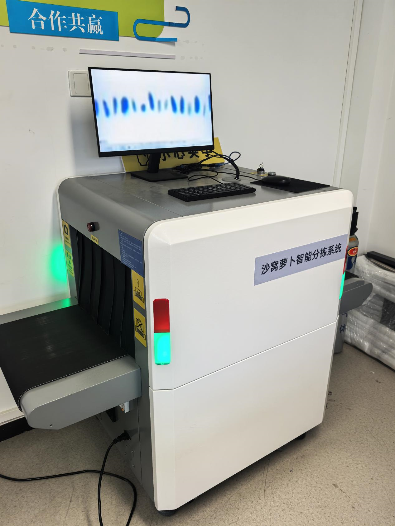 智易时代智能产品双管齐下 赋能沙窝萝卜产业降本增效