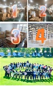 細胞培養(yǎng)瓶-T25