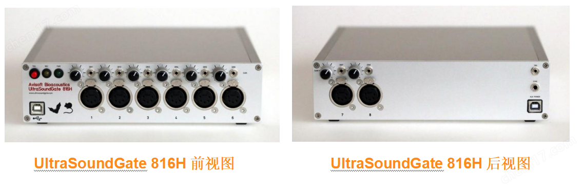 八通道动物超声声谱录制系统816H