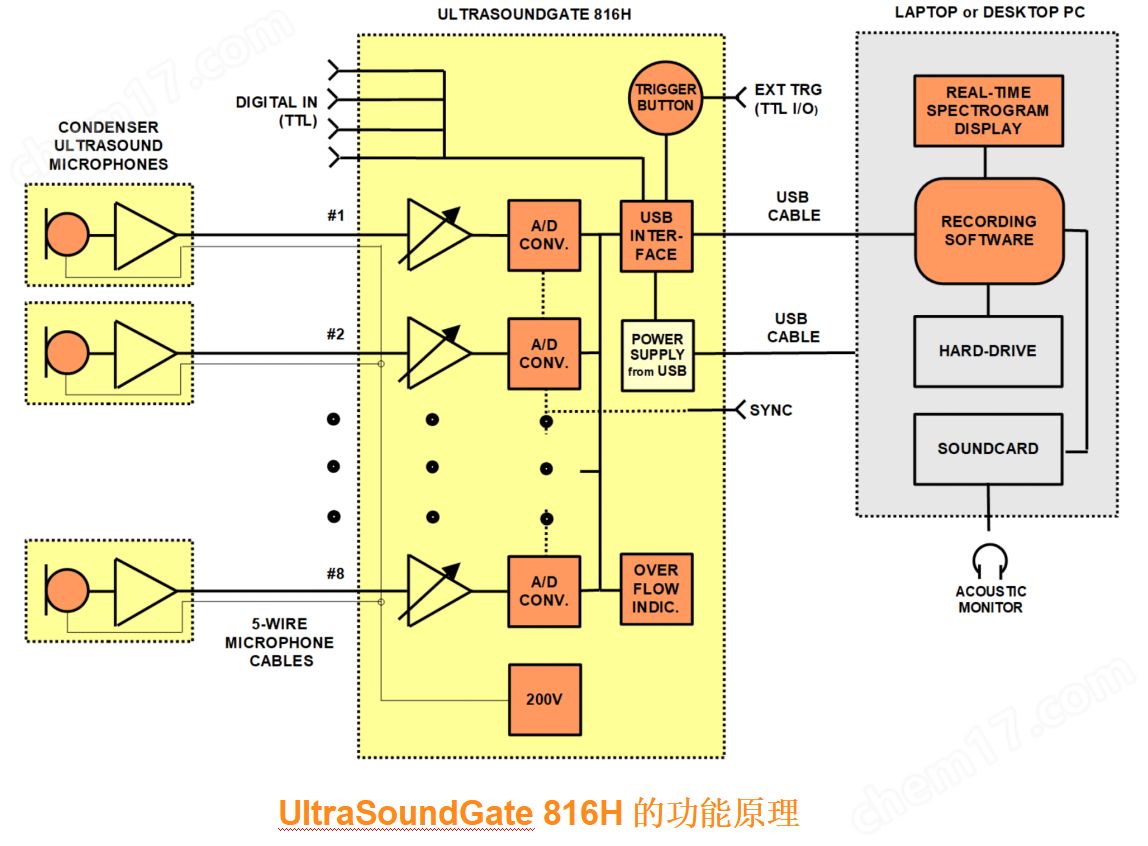 八通道动物超声声谱录制系统816H