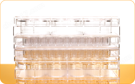 6孔細(xì)胞培養(yǎng)板