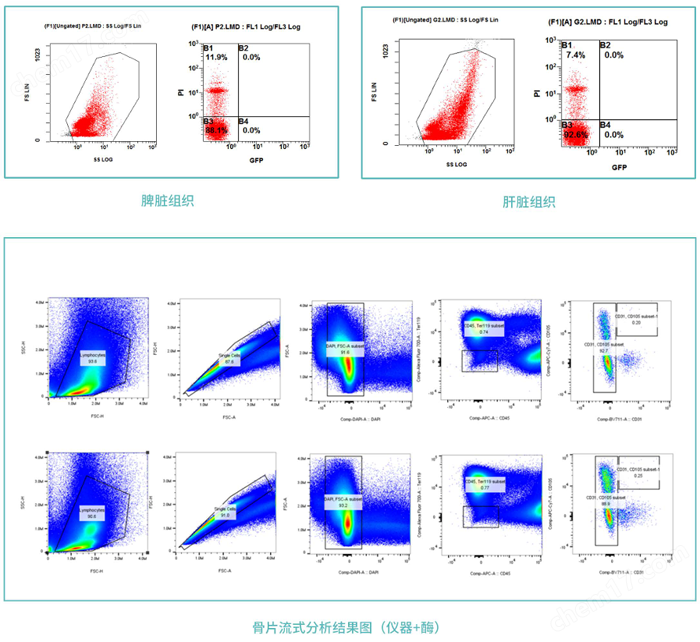 813777864205.png 單細(xì)胞懸液制備儀