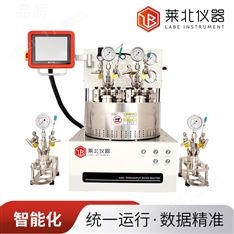 平行反應(yīng)器 高溫高壓 統(tǒng)一控溫