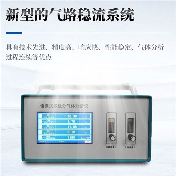 便攜式多組分氣體分析儀