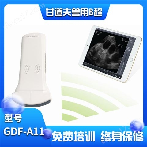 便宜豬B超價(jià)格多少錢母豬B超彩超廠家報(bào)價(jià)