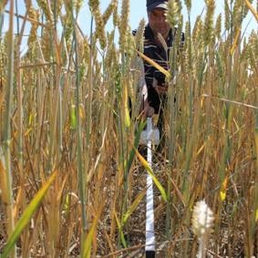 SunScan植物冠层分析仪