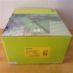 Bio-Rad伯樂96孔低位全裙邊PCR板白色孔HSP9655