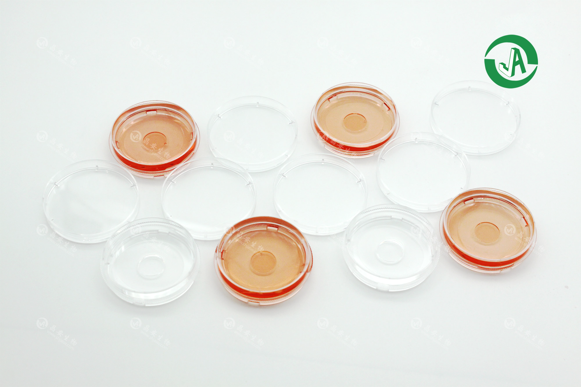 上海晶安35mm四分格激光共聚焦玻底培养皿