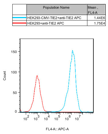 TIE2/HEK293