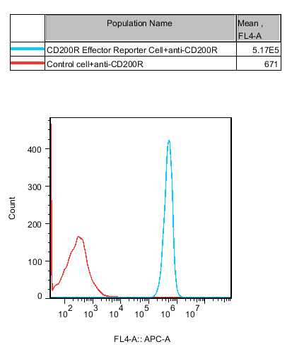 CD200R Effector Reporter cell