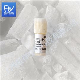 K-562人慢性骨髓性白血病细胞 ATCC CCL-243